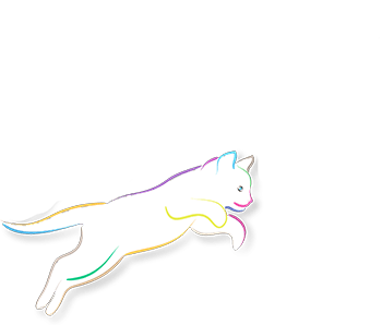 Cat jumping playfully: an illustration taken from our logo of a white cat with a body border of cheerful colours, jumping from left to right and full of joy